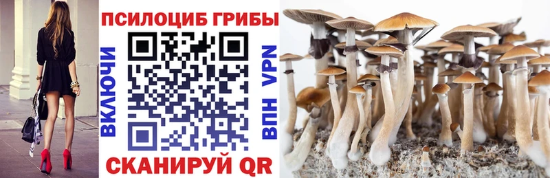 нарко площадка клад Кыштым Галлюциногенные грибы прущие грибы