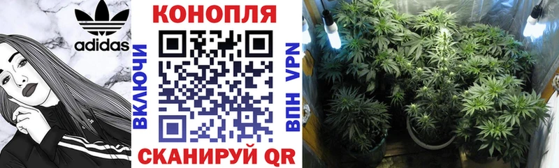 Конопля план Кыштым